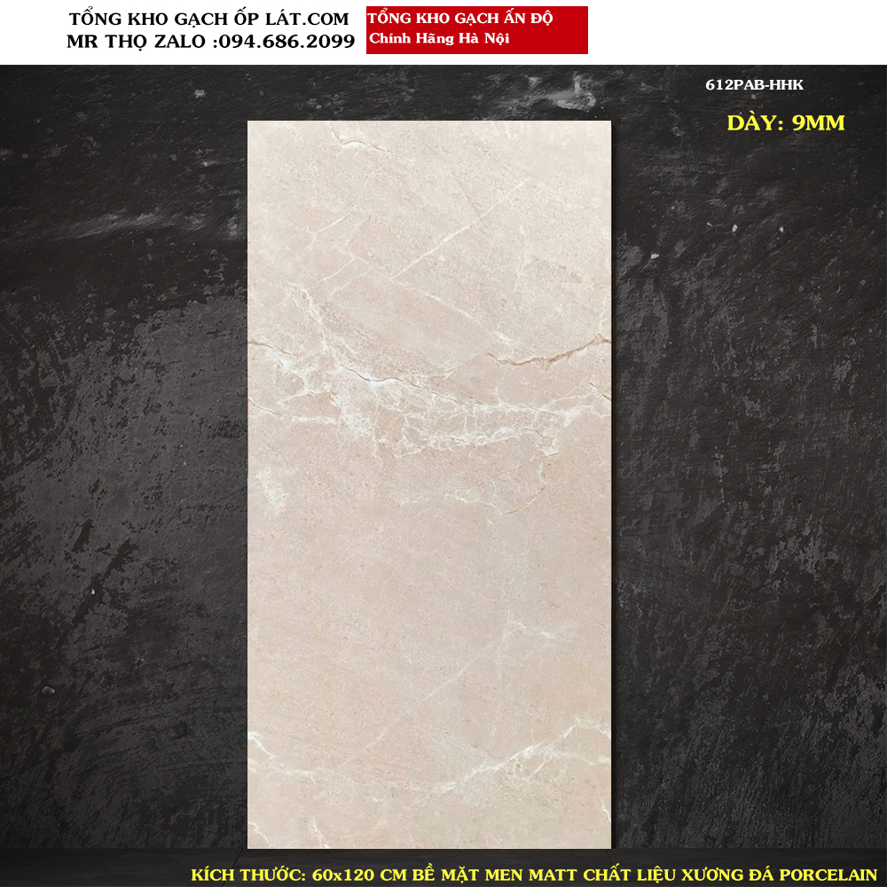 Gạch ấn độ 60x120 cm 612PAB